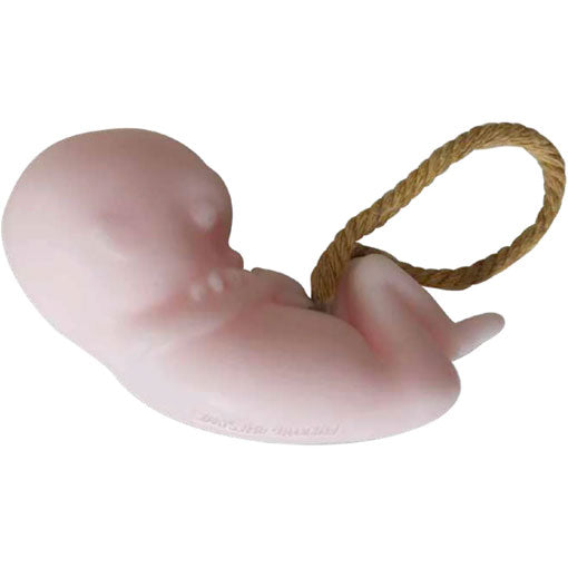 don quijote sex toys Foaming Toy Cleaner main image 1
