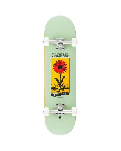 Arbor Daisy Complete 8.25"