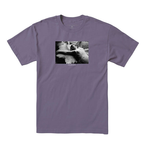 Color Bars Love Will Tear Us Apart T-Shirt - Grape