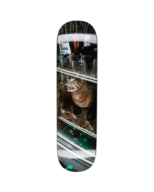 GX1000 Bodega Cat Deck