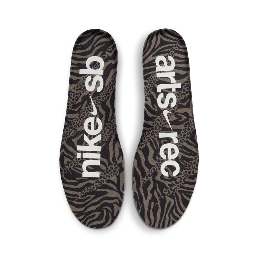 Nike SB Dunk Shoe Arts-Rec