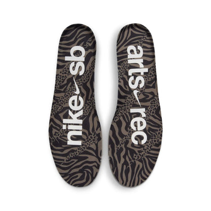 Nike SB Dunk Shoe Arts-Rec