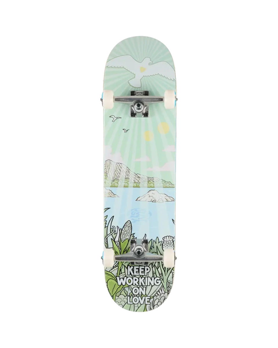 Push Jon Horner Guest Artist Complete 8.25"