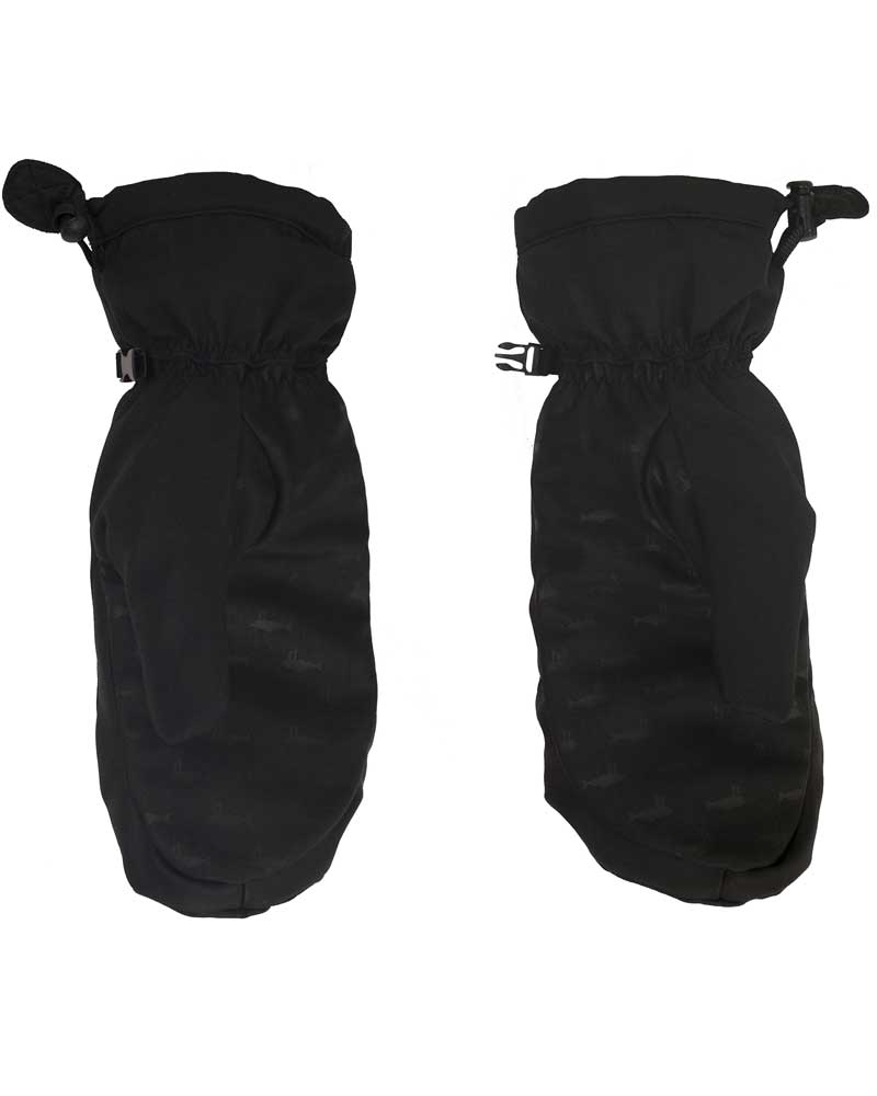 Salmon Arms x Sourceboards Team Mitt