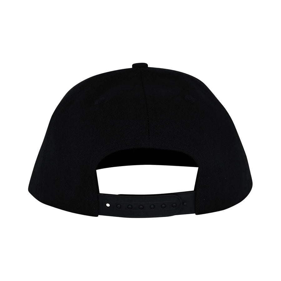 Santa Cruz Dressen Celtic Dogs Snapback Hat Black