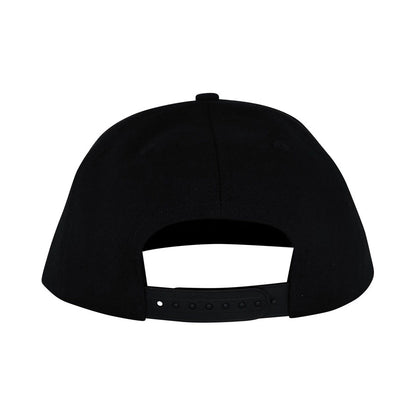 Santa Cruz Dressen Celtic Dogs Snapback Hat Black