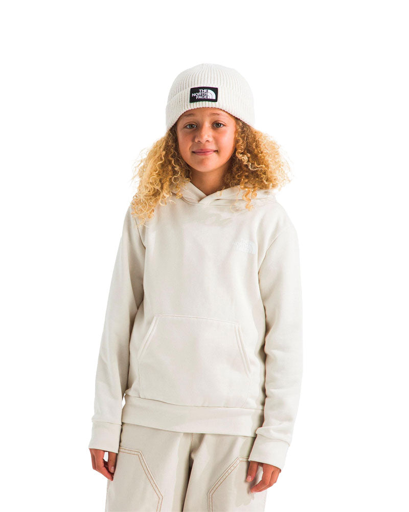The North Face Kids' Evolution Box NSE P/O Hoodie Graphic White Dune 2026