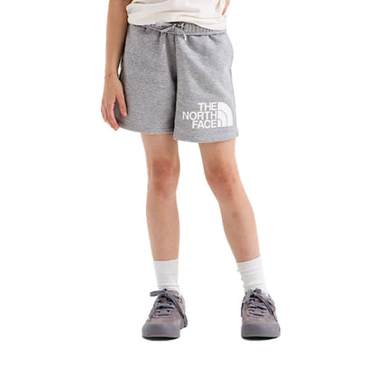 The North Face Kids' Evolution Half Dome Short TNF Pale Grey Heather