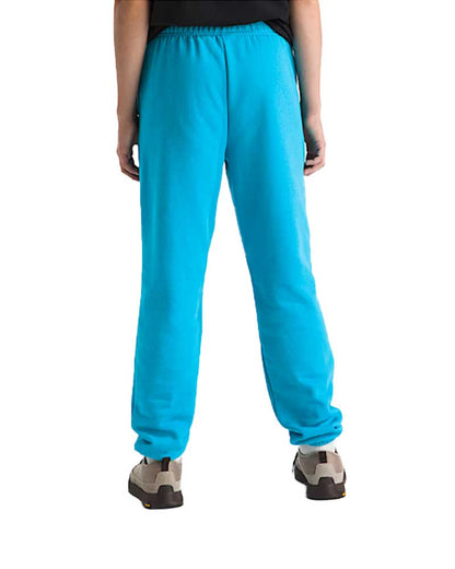 The North Face Kids' Evolution Simple Dome Pant Meridian Blue
