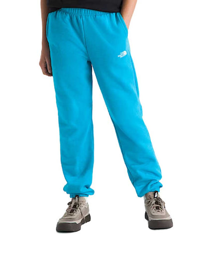 The North Face Kids' Evolution Simple Dome Pant Meridian Blue