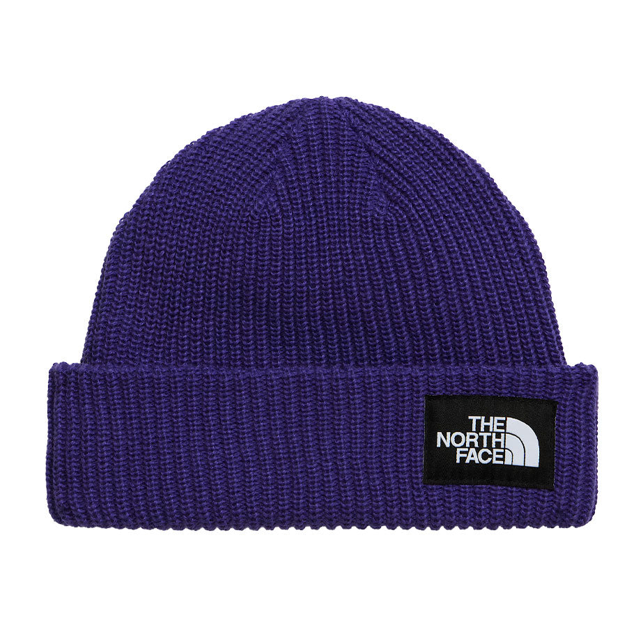 The North Face Kids' Salty Lined Beanie Peak Purple 2027