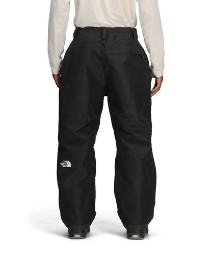 The North Face Men's Gore-Tex Hex Pant TNF Black 2027